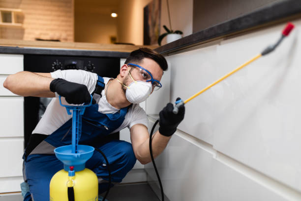 Best Pest Removal Services  in Ly Lake, IL