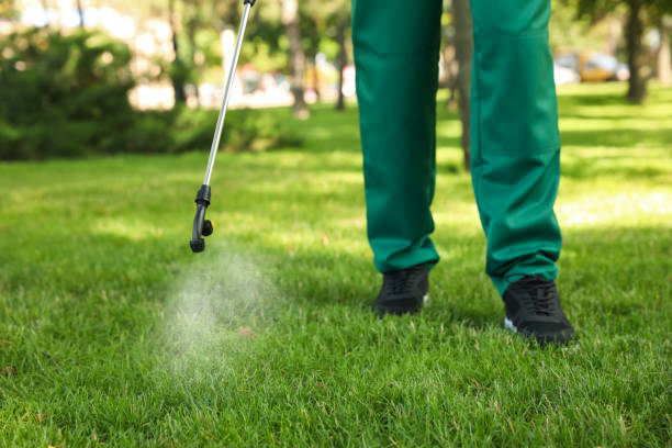 Best Local Pest Control Services  in Ly Lake, IL