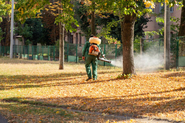 Best Pest Prevention Services  in Ly Lake, IL