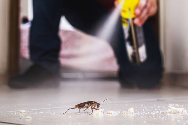 Lily Lake, IL Pest Control Company